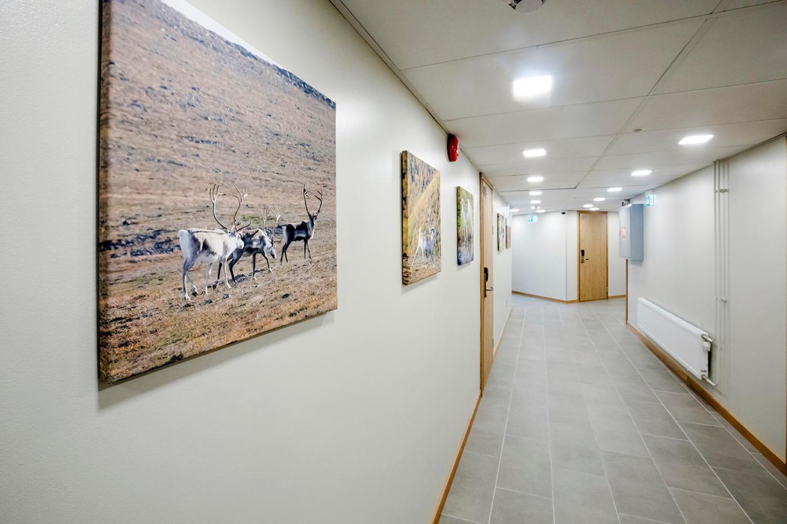 Hostel Toivola كيمي المظهر الخارجي الصورة